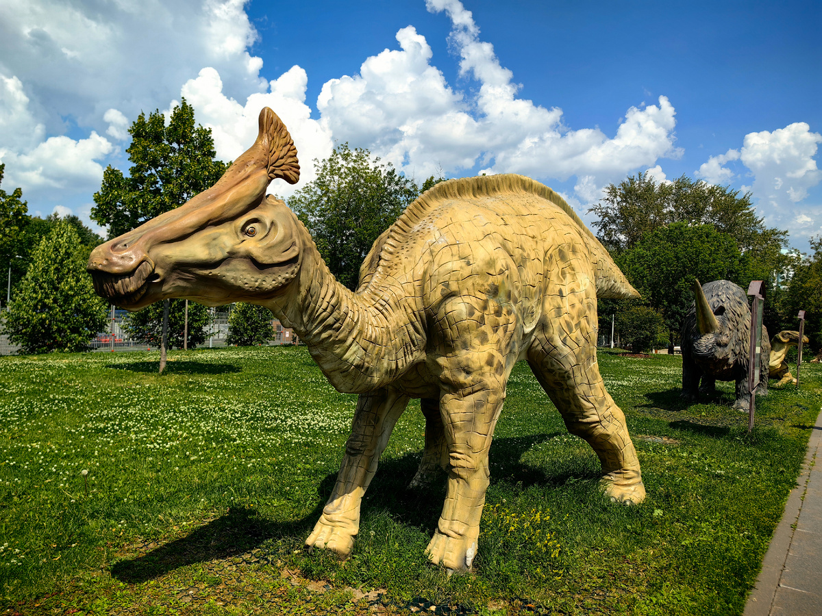 Динозавры в ближайшем парке имели менее грозный вид, чем баба Зина