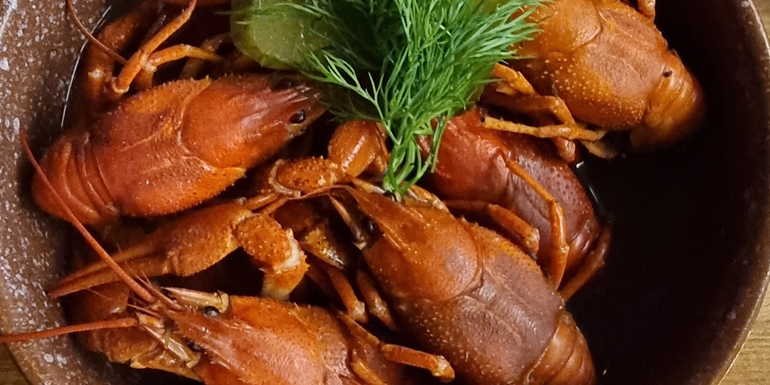 Ради чего стоит приехать в Самару: где попробовать волжских раков, рыбу и жигулёвское пиво?