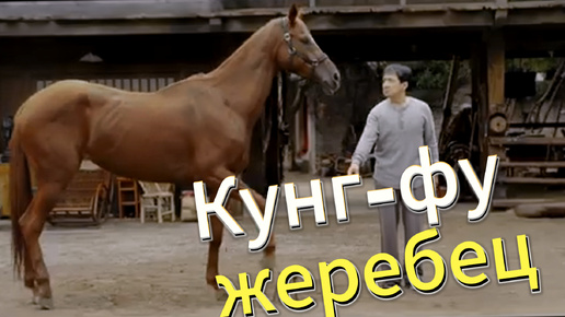 Джеки Чан и его огненная лошадь: стоит ли смотреть «Кунг-фу жеребец»