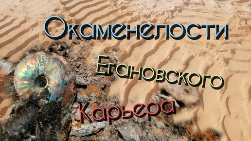 Поиск аммонитов и окаменелостей в Егановском карьере.