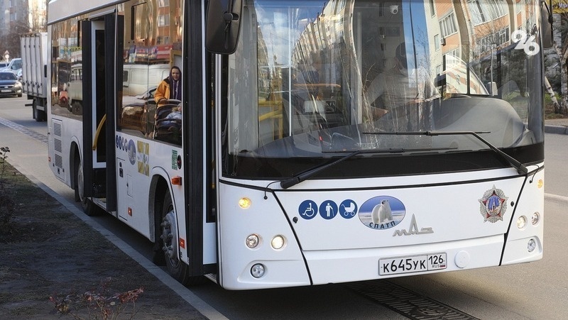      Фото: ИА «Победа26»