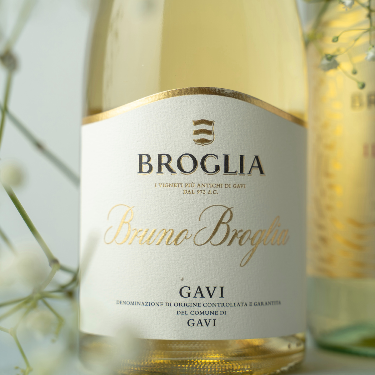 Bruno Broglia Gavi del Comune di Gavi