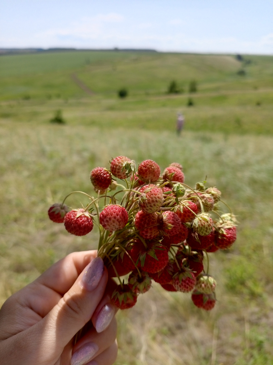 Ароматный букетик