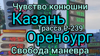 Чувство конюшни из Казани в Оренбург