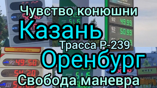 Чувство конюшни из Казани в Оренбург