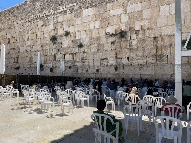 Фотографии прислала моя читательница V.