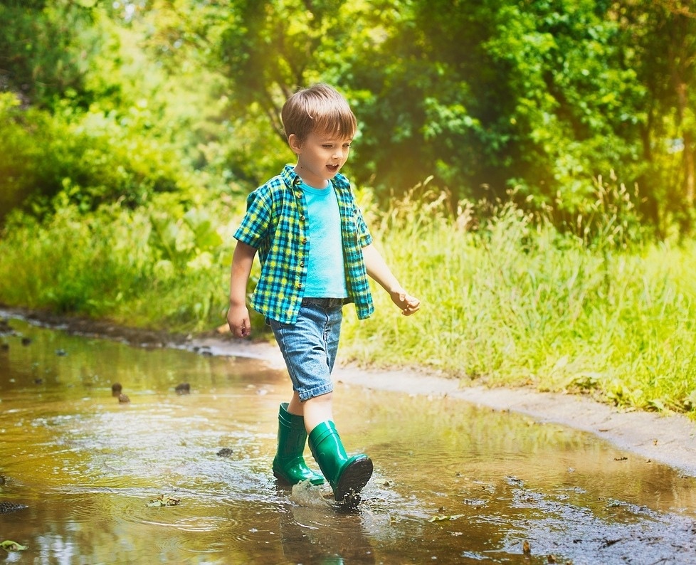 Из сети интернет.