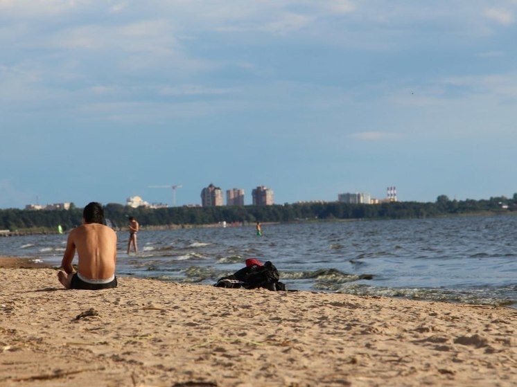     Фото: МК в Питере