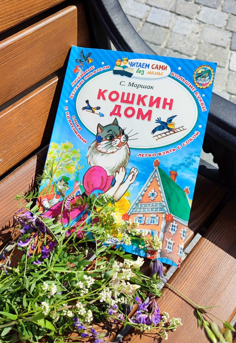 Обложка книги