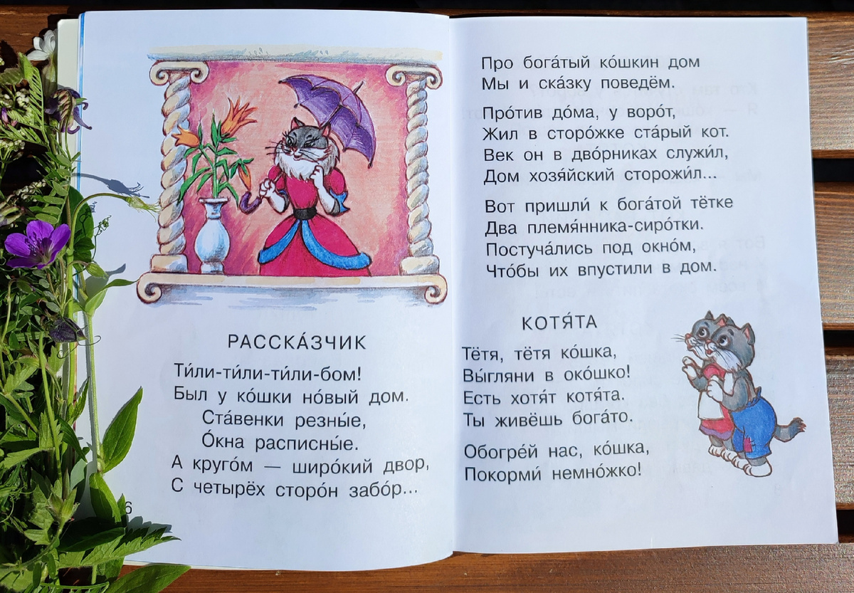 Фото и отрывки из книги