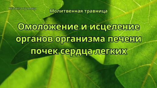 Молитвенная травница. Омоложение и исцеление органов организма печени почек сердца легких.