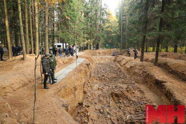 только за 2023 - 2024 годы обнаружили 21 расстрельную яму. Фото: /pervadmin.gov.by