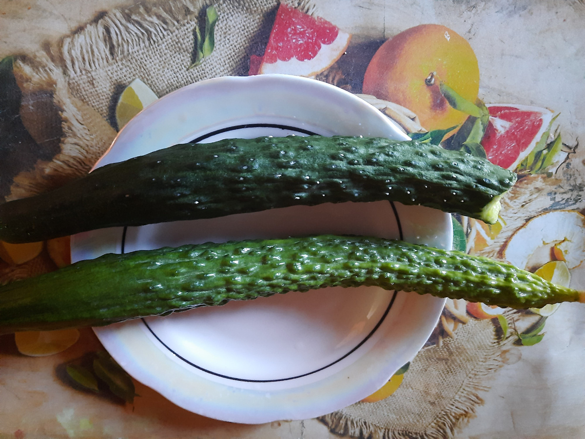 Огурец для свежести