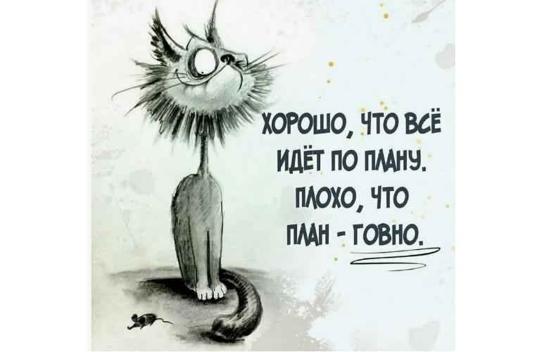 Всё идёт по плану