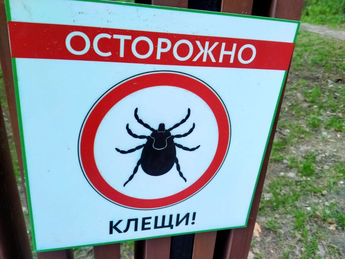 Фото: BFM-Новосибирск