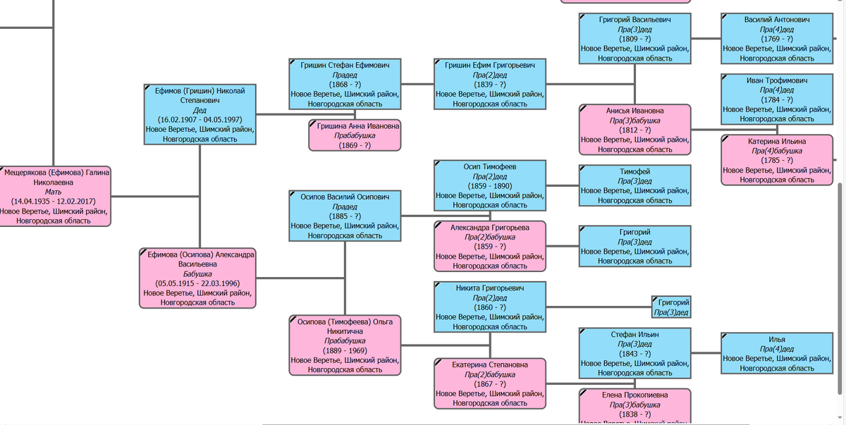 Древо моей бабушки из деревни Новое Веретье. Там были бесфамильные крестьяне, поэтому у них только имя и отчество