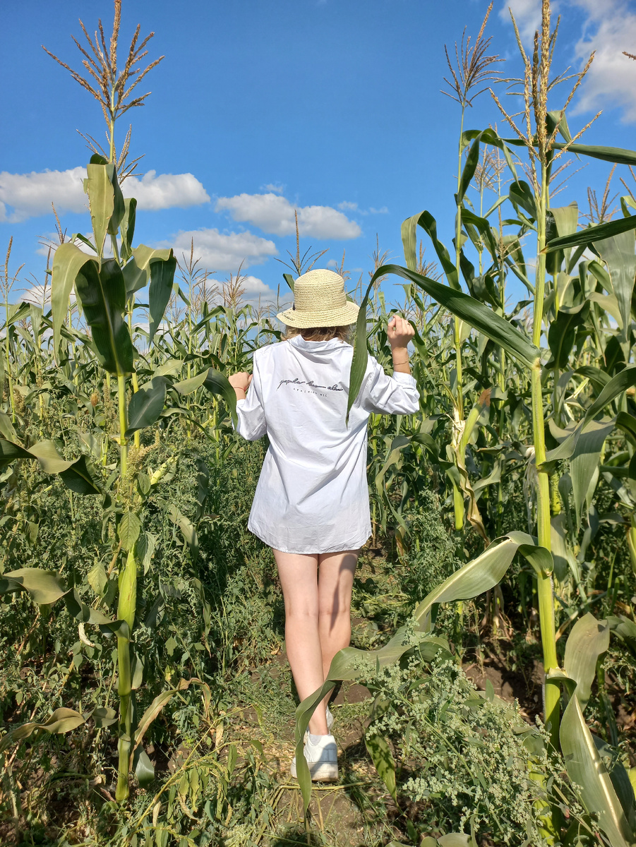 В дебрях кукурузы 🌽