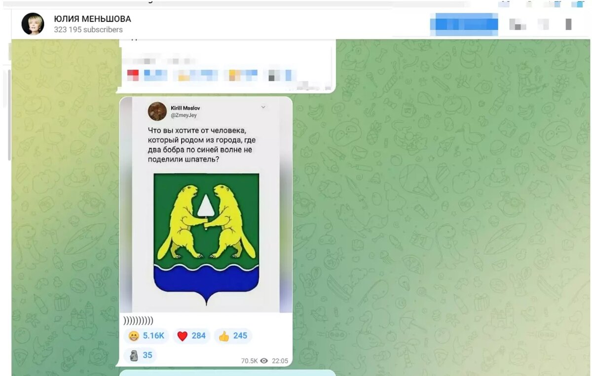     Источник: ТГ-канал Юлии Меньшовой
