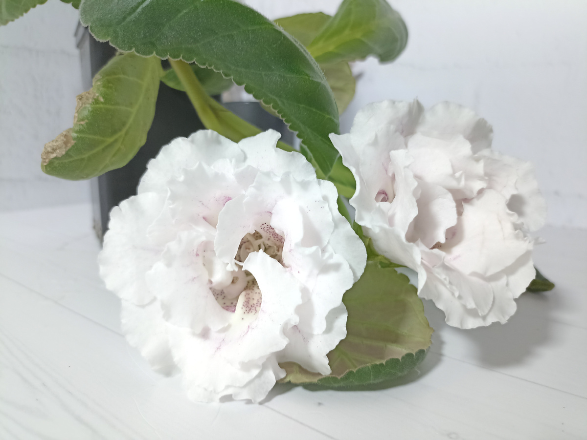 Чтобы не потерять нить повествования, буду отмечать фотографии цифрами - 12