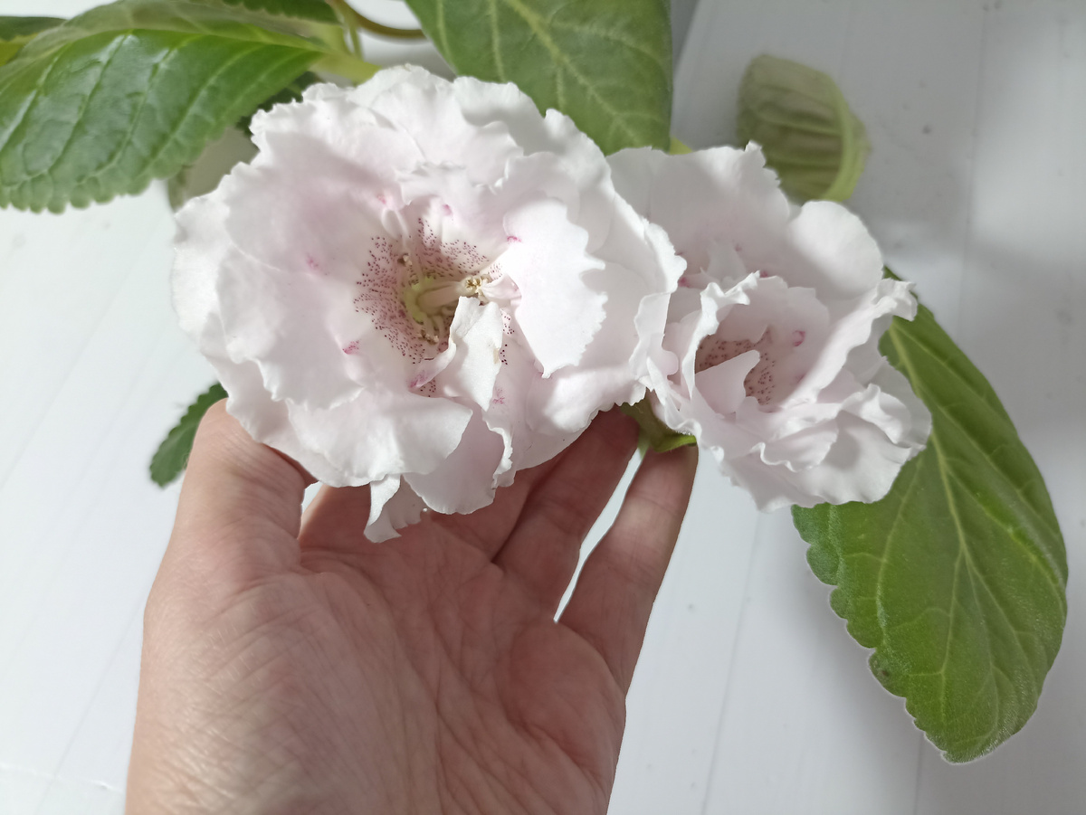 18. Примерно то же самое