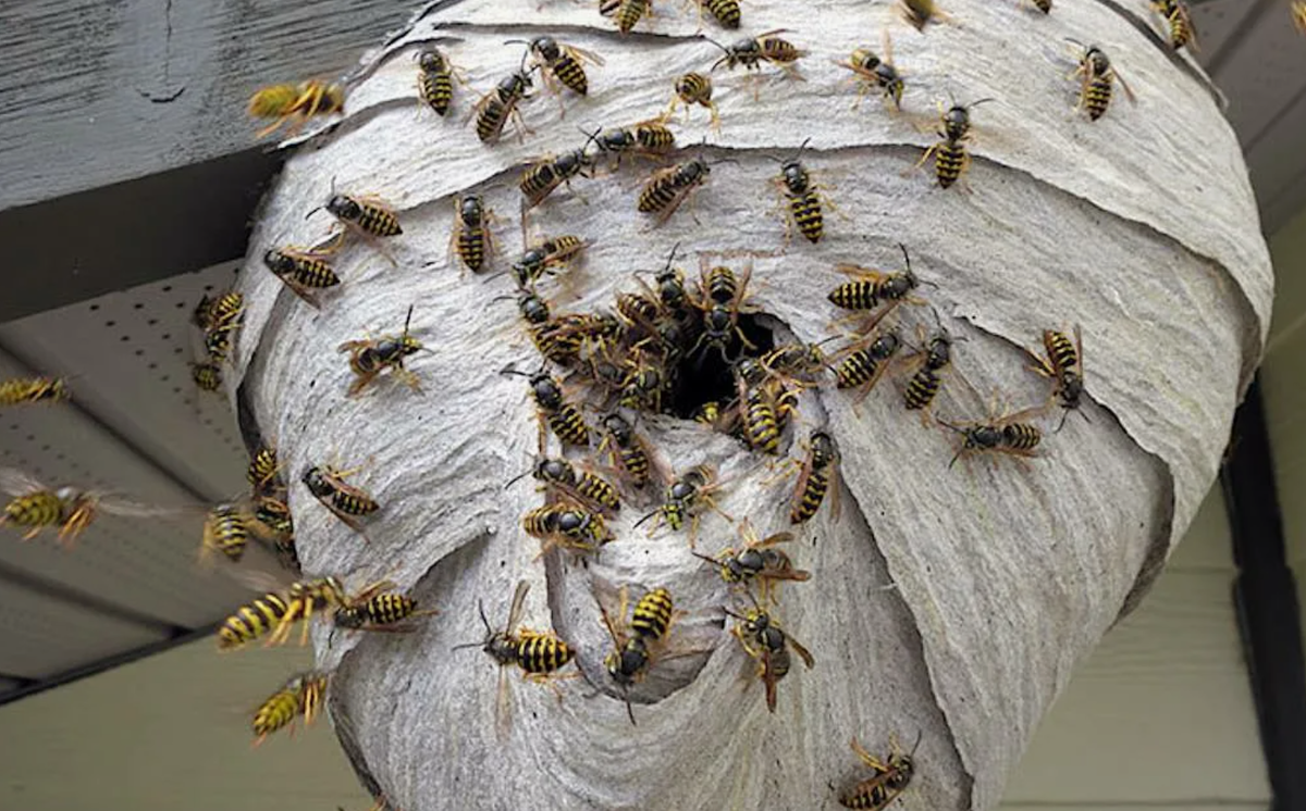 Источник фото: travelask.ru