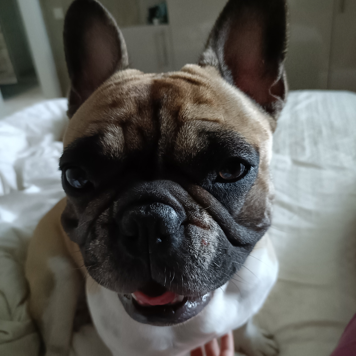 Передаёт вам всем привет