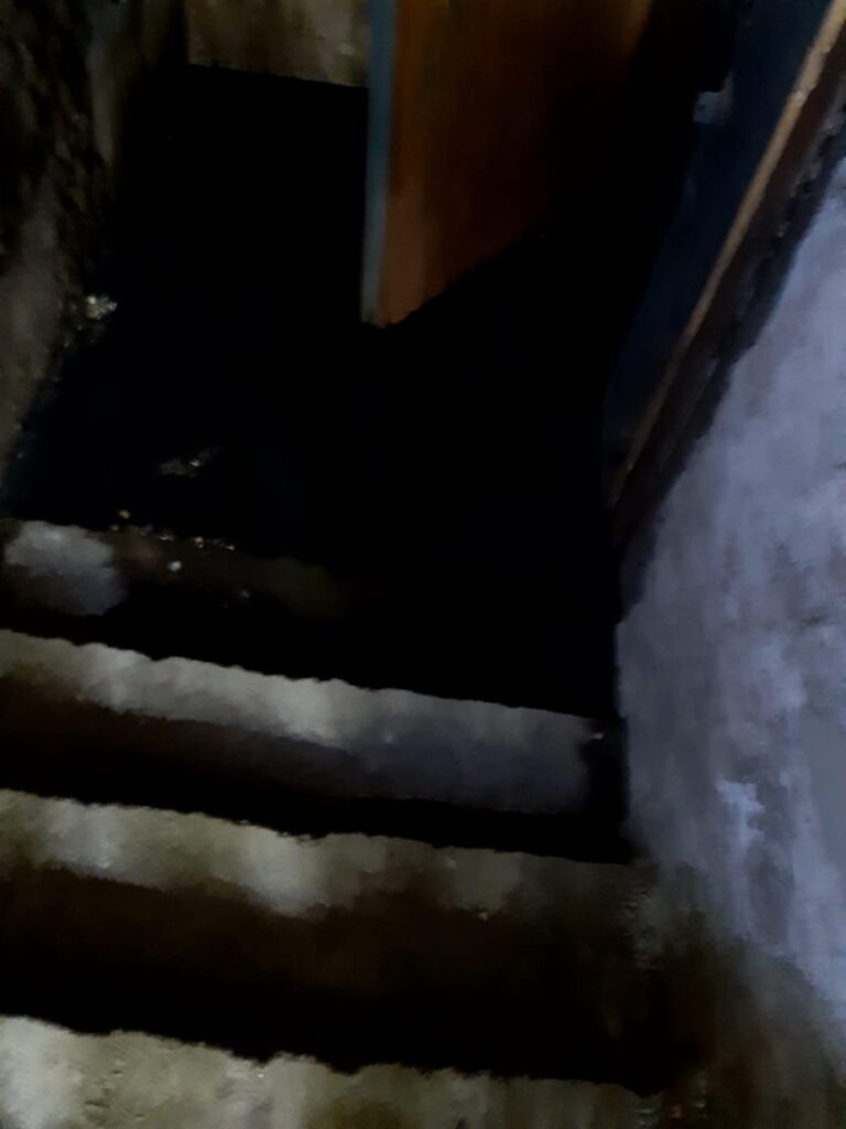    Фото: Амур.инфо