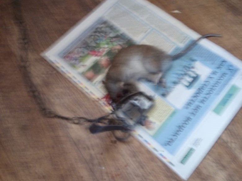    Фото: Амур.инфо