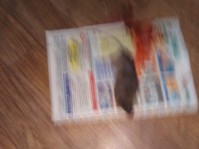    Фото: Амур.инфо