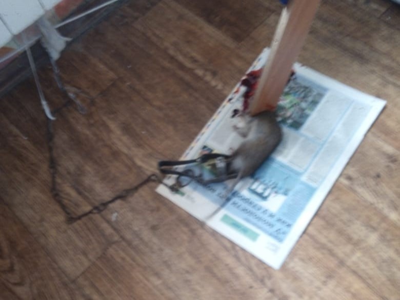    Фото: Амур.инфо