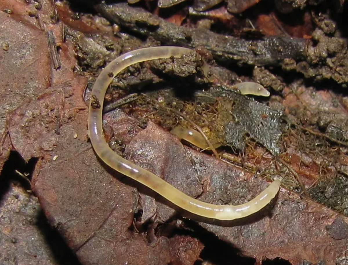 Источник фото: 63valentina.ru