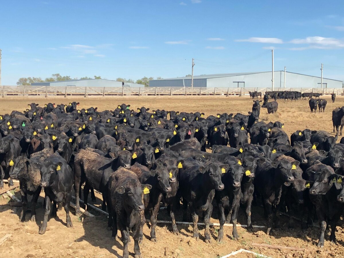 Фото Даурена Салыкова