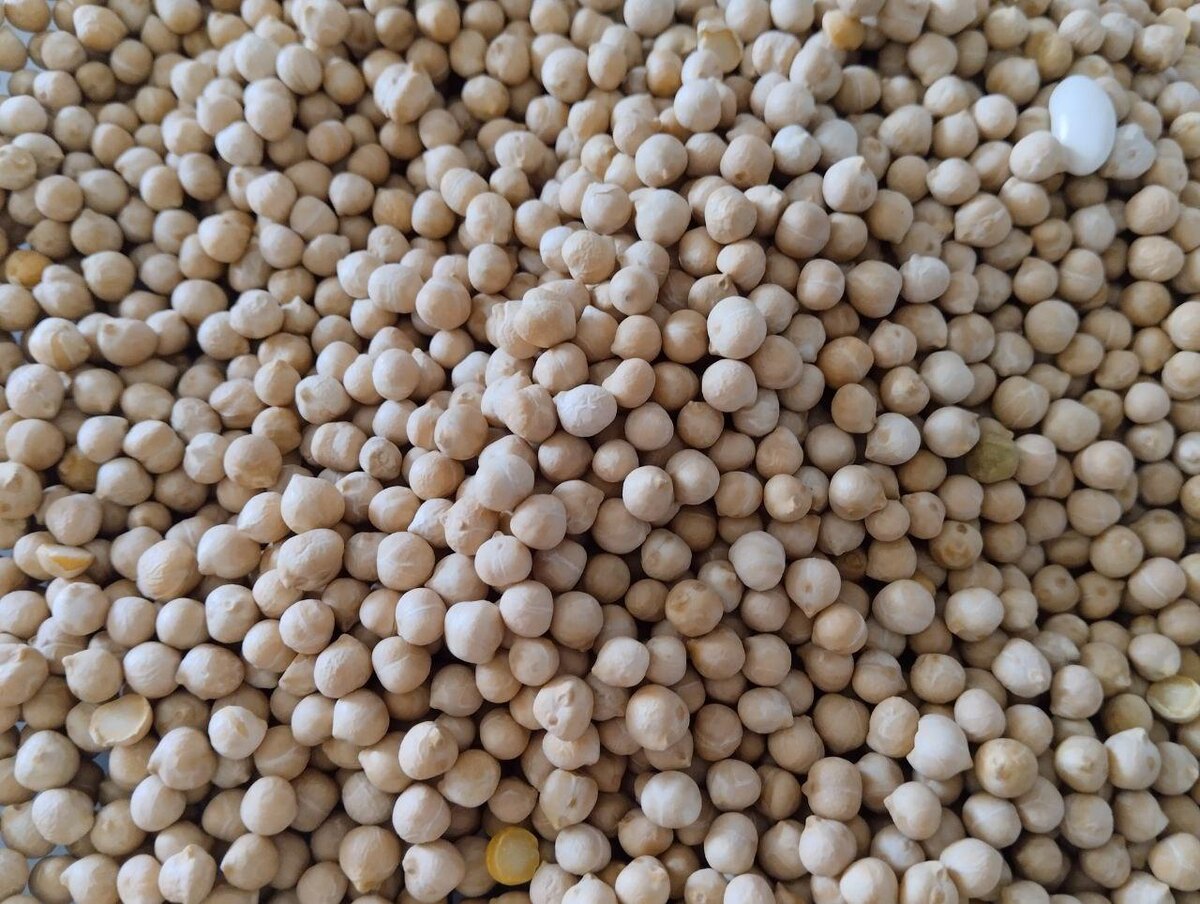 Фото: АПК Новости