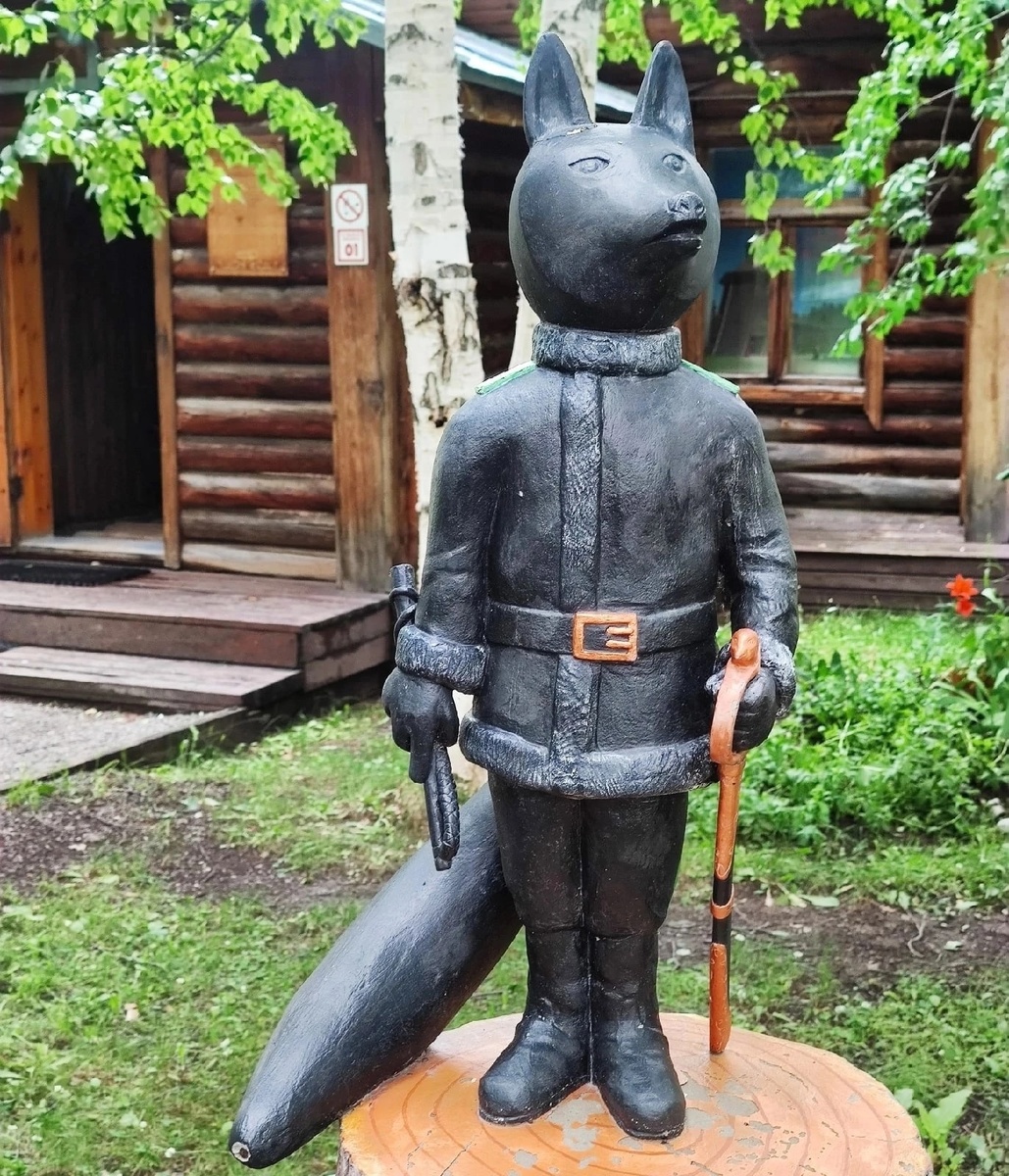 Один из нескольких лисов, которых можно обнаружить в Сургуте.