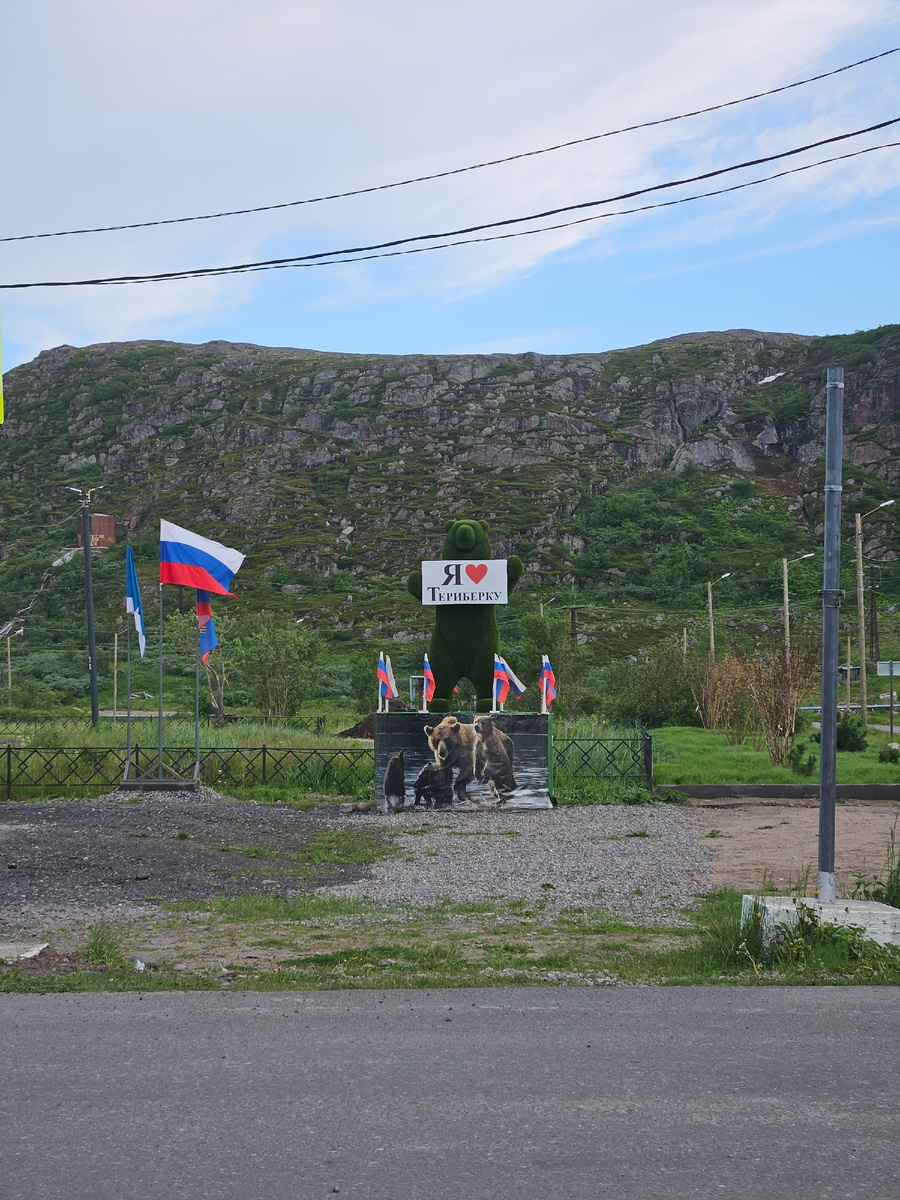 Что случилось в Териберке или с палатками хоть и можно, но всё-таки нельзя  | Птицы в большом городе | Дзен