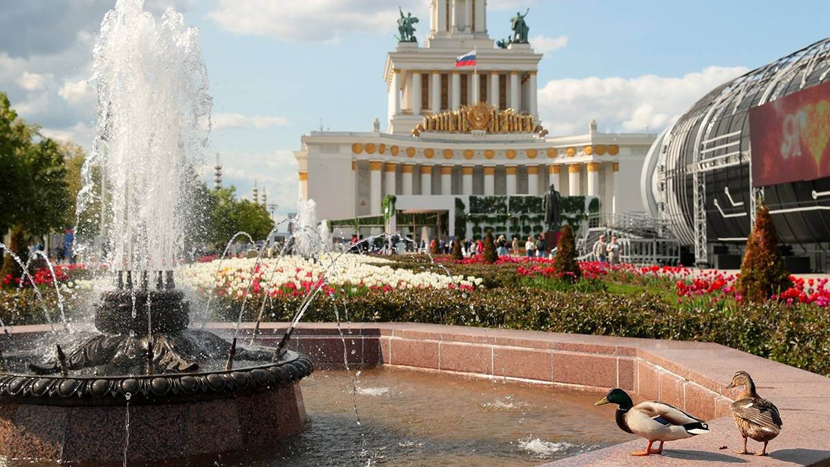    Фото: Василий Кузьмиченок / АГН Москва