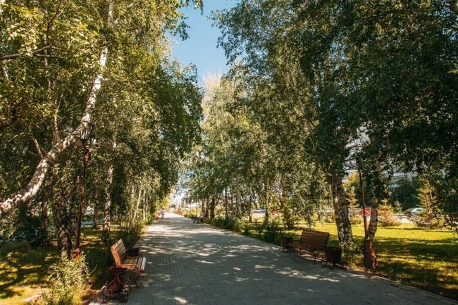    парк погода жара
