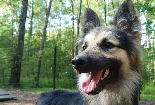 Фото: «Говорит Москва» 