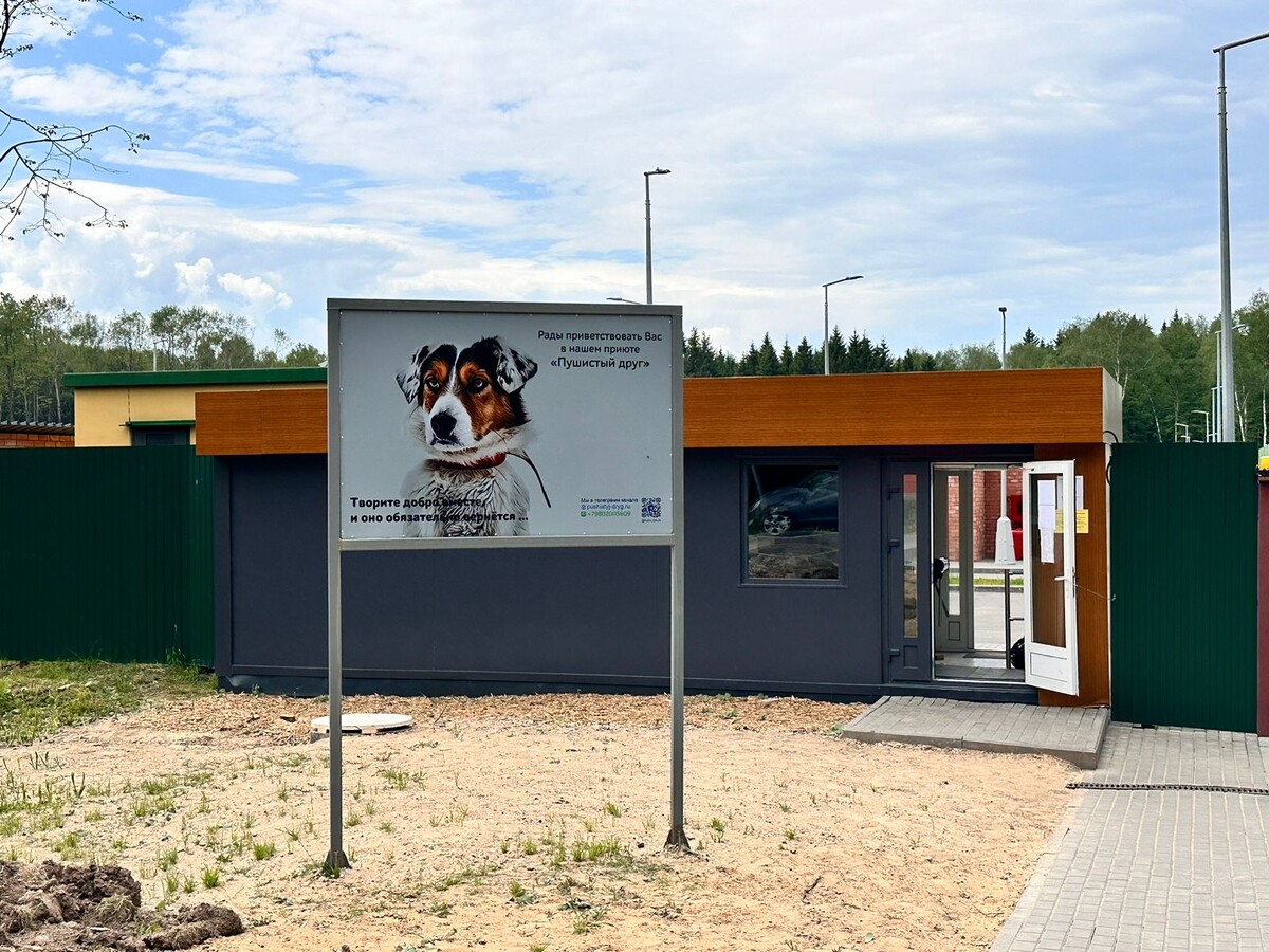 вход в приют