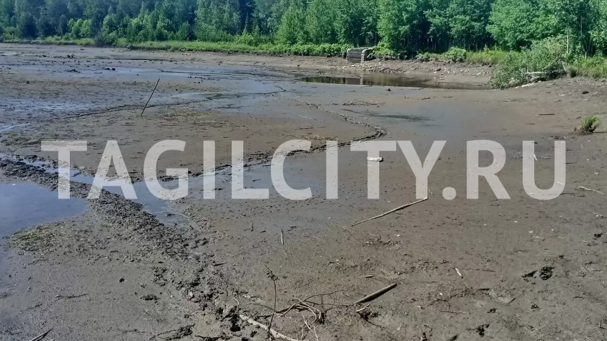     Источник: tagilcity.ru