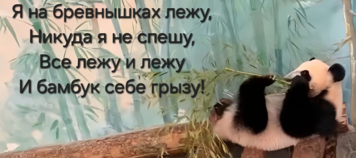 Катюша грызет замороженный бамбук
