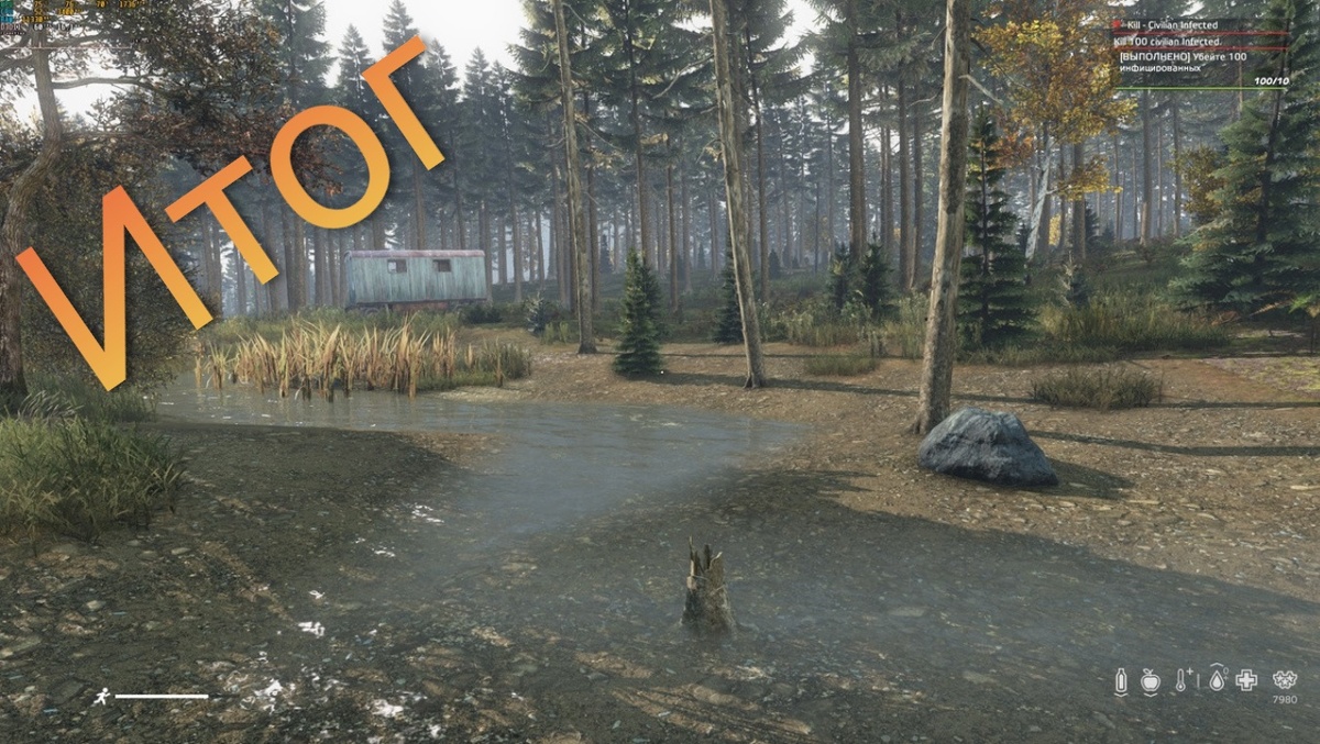 DayZ