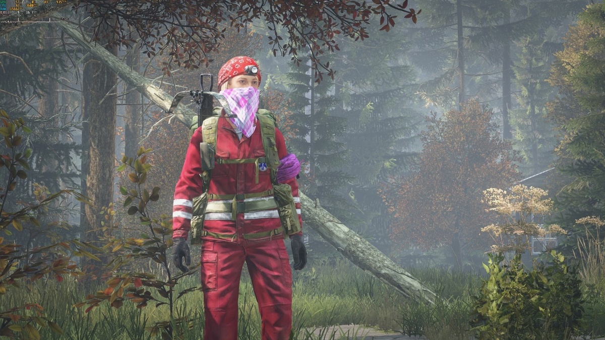 DayZ