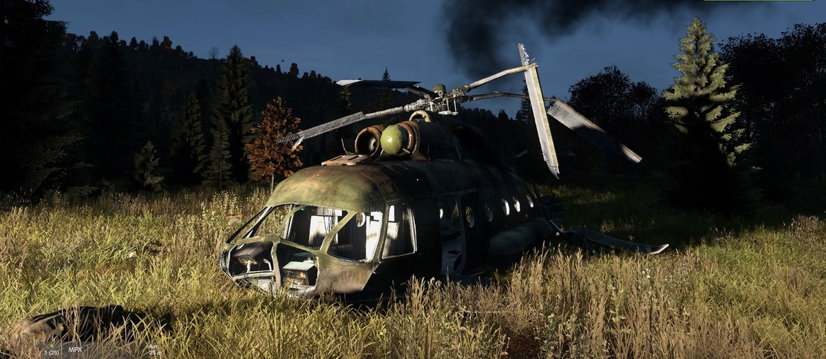 DayZ