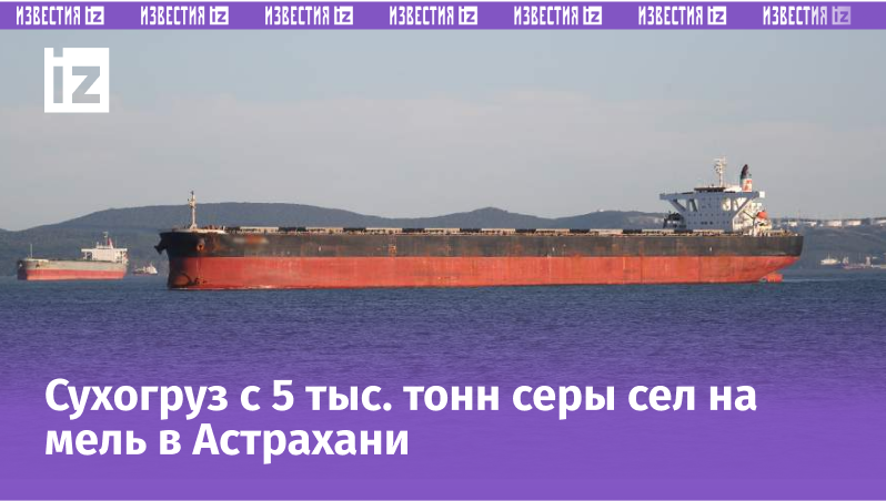 Фото: ИЗВЕСТИЯ/Артем Коротаев 