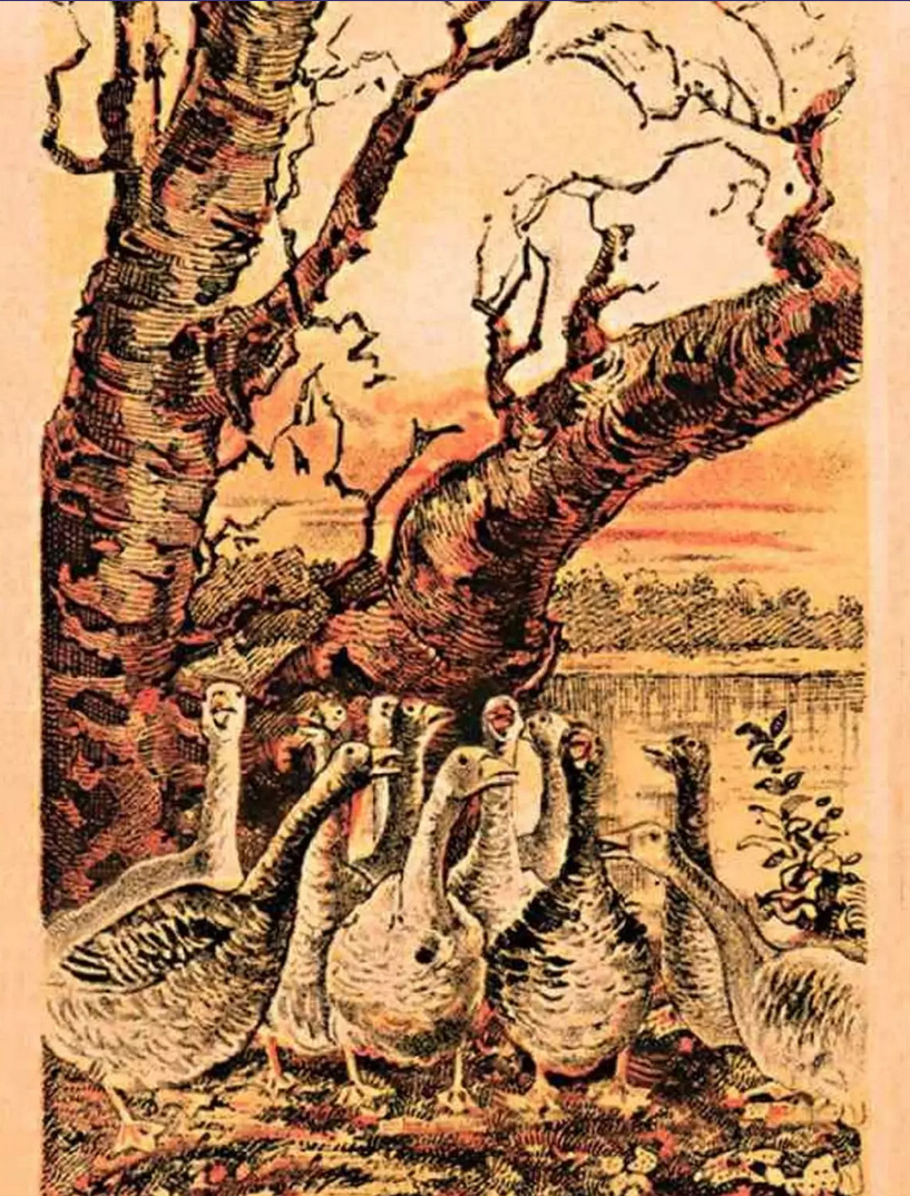 Изображение - соцсети