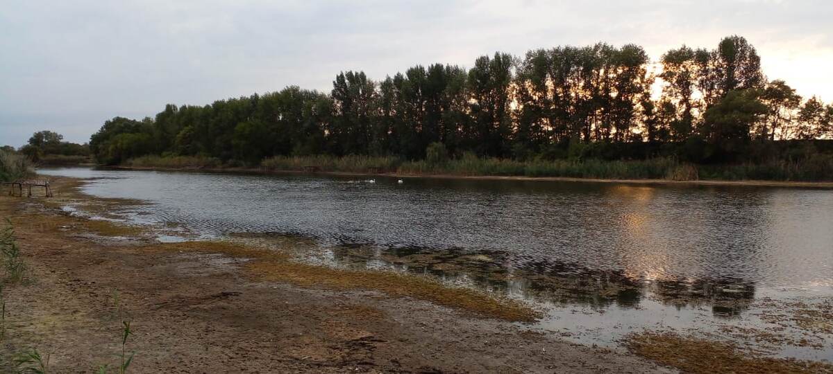 Вид на речку в августе прошлого года.