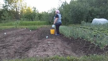 А я люблю свои места родные, свои родные милые места!!! Лес, огород,земляника, грядки.