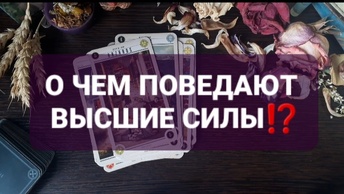 ❗О ЧЕМ ПОВЕДАЮТ ВЫСШИЕ СИЛЫ⁉️ГАДАНИЕ НА ТАРО🃏