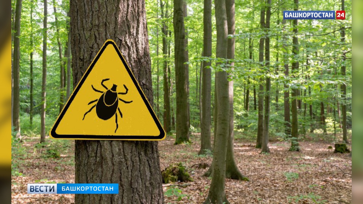    В Башкирии спасатели оказали помощь 36-летнему мужчине, которого укусил клещ